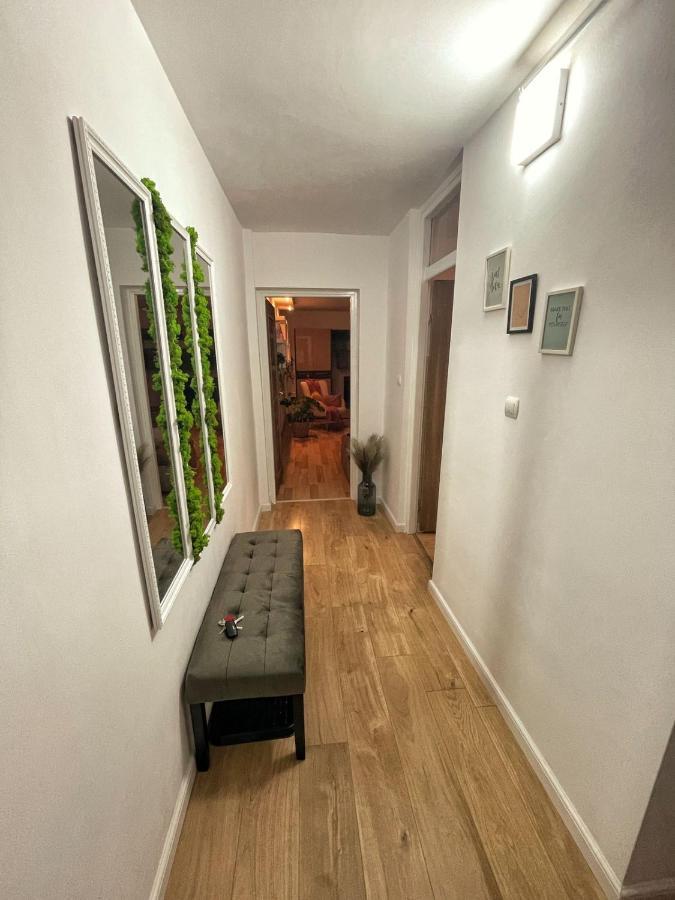 Magnolia Stay Bistriţa Dış mekan fotoğraf